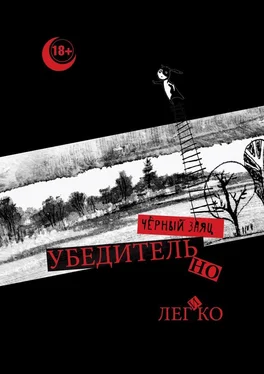 Чёрный Заяц Убедительно и легко обложка книги