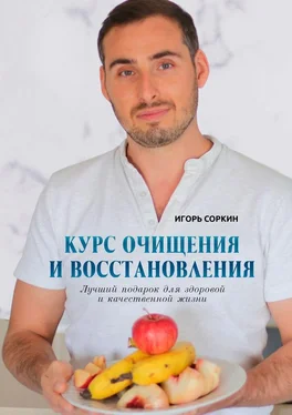 Игорь Соркин Курс очищения и восстановления. Лучший подарок для здоровой и качественной жизни обложка книги