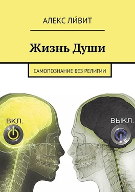 Алекс Ли́вит Жизнь Души. Самопознание без религии обложка книги