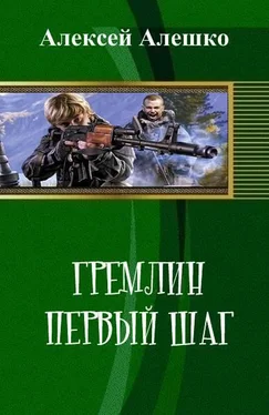 Алексей Алешко Гремлин. Первый шаг (СИ) обложка книги