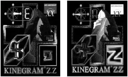 Рис 1232 Визуальные эффекты KINEGRAM ZZ На этом рисунке в виде двух - фото 106