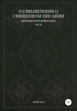 Евгений Воронянский Размышления о Священном писании обложка книги