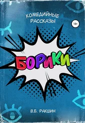 Виктор Ракшин - Борики