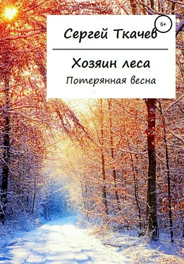 Сергей Ткачев Хозяин леса. Потерянная весна обложка книги
