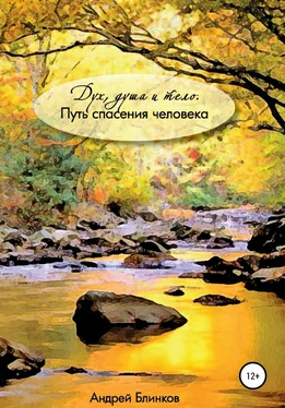 Андрей Блинков Дух, душа и тело. Путь спасения человека обложка книги