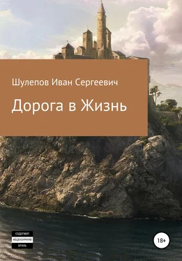 Иван Шулепов Дорога в жизнь обложка книги