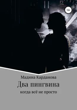 Мадина Карданова Два пингвина обложка книги