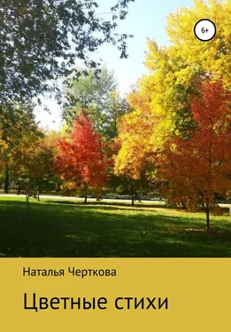 Наталья Черткова Цветные стихи обложка книги