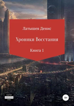 Денис Латышев Хроники восстания. Книга 1 обложка книги