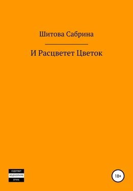 Сабрина Шитова И расцветет цветок обложка книги