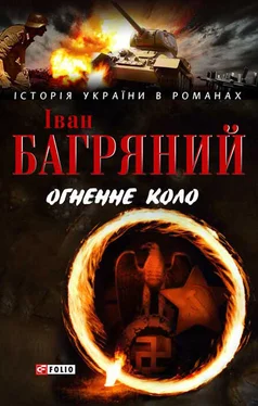 Іван Багряний Огненне коло. Людина біжить над прірвою (збірник) обложка книги