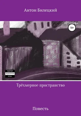 Антон Билецкий Трёхмерное пространство обложка книги