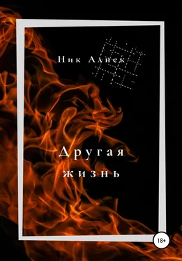 Ник Алнек Другая жизнь обложка книги