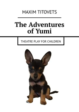 Maxim Titovets The Adventures of Yumi. Theatre play for children обложка книги