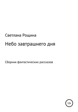 Светлана Рощина Небо завтрашнего дня обложка книги