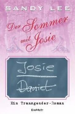 Sandy Lee Der Sommer mit Josie обложка книги