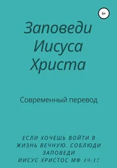 Y. Schvarzman - Заповеди Иисуса Христа. Современный перевод