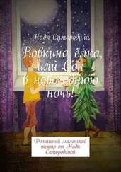 Надя Самородина - Вовкина ёлка, или Сон в новогоднюю ночь! Домашний маленький театр от Нади Самородиной