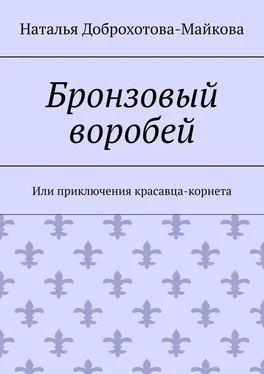 Наталья Доброхотова-Майкова Бронзовый воробей. Или приключения красавца-корнета обложка книги