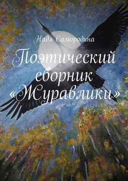 Надя Самородина Поэтический сборник «Журавлики» обложка книги