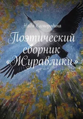 Надя Самородина - Поэтический сборник «Журавлики»