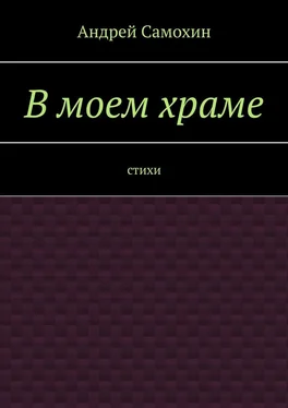 Андрей Самохин В моем храме. Стихи обложка книги