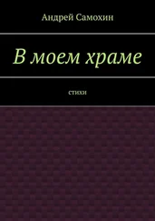 Андрей Самохин - В моем храме. Стихи