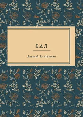 Алексей Кандрушин Бал обложка книги