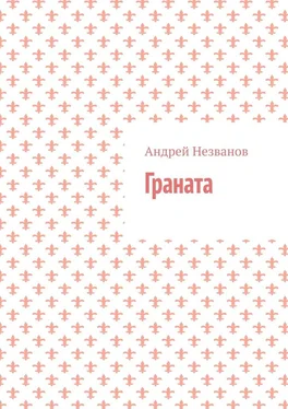 Андрей Незванов Граната обложка книги