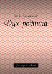 Зиля Ахметшина - Дух родника. Рассказы для детей