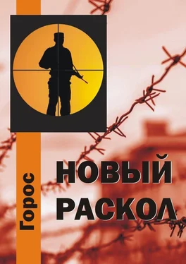 Горос Новый Раскол обложка книги