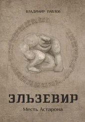 Владимир Павлов - Эльзевир. Месть Астарона