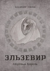 Владимир Павлов - Эльзевир. Мертвый Король