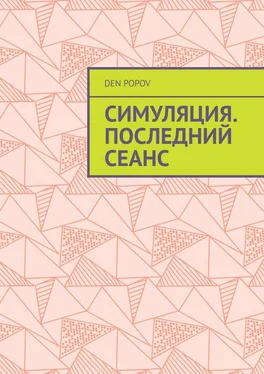 Den Popov Симуляция. Последний сеанс обложка книги