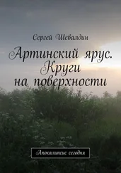 Сергей Шевалдин - Артинский ярус. Круги на поверхности. Апокалипсис сегодня