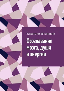 Владимир Теплицкий Осознавание мозга, души и энергии обложка книги