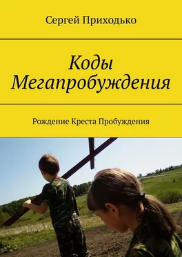 Сергей Приходько Коды Мегапробуждения. Рождение Креста Пробуждения обложка книги