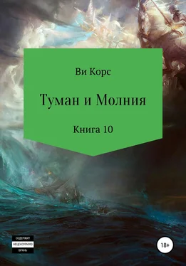 Ви Корс Туман и Молния. Книга 10 обложка книги