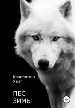 Константин Хайт Пес Зимы обложка книги