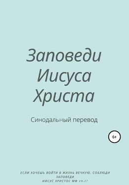 Y. Schvarzman Заповеди Иисуса Христа. Синодальный перевод обложка книги