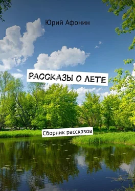 Юрий Афонин Рассказы о лете. Сборник рассказов обложка книги