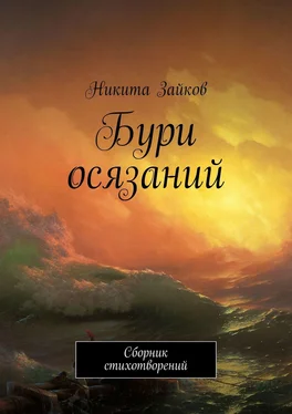 Никита Зайков Бури осязаний. Сборник стихотворений обложка книги