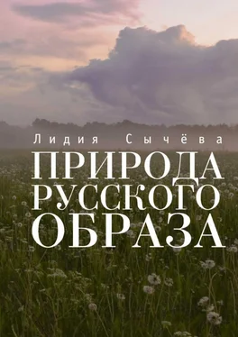 Лидия Сычева Природа русского образа обложка книги