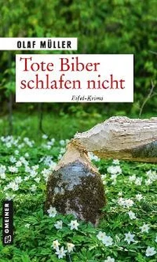 Olaf Müller Tote Biber schlafen nicht обложка книги