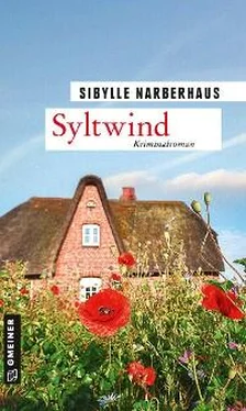 Sibylle Narberhaus Syltwind обложка книги