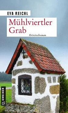 Eva Reichl Mühlviertler Grab обложка книги