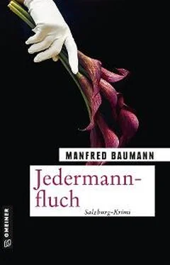 Manfred Baumann Jedermannfluch обложка книги