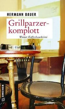 Hermann Bauer Grillparzerkomplott обложка книги