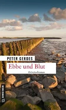 Peter Gerdes Ebbe und Blut обложка книги
