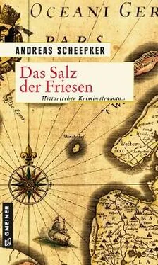 Andreas Scheepker Das Salz der Friesen обложка книги